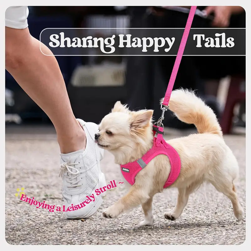 Dog Harness No-Pull Pet Harness Step-in Air Dog Harness, All Weather Mesh, Step in Vest Harness Adjustable Outdoor Pet Vest, Reflective Harness for Small Medium